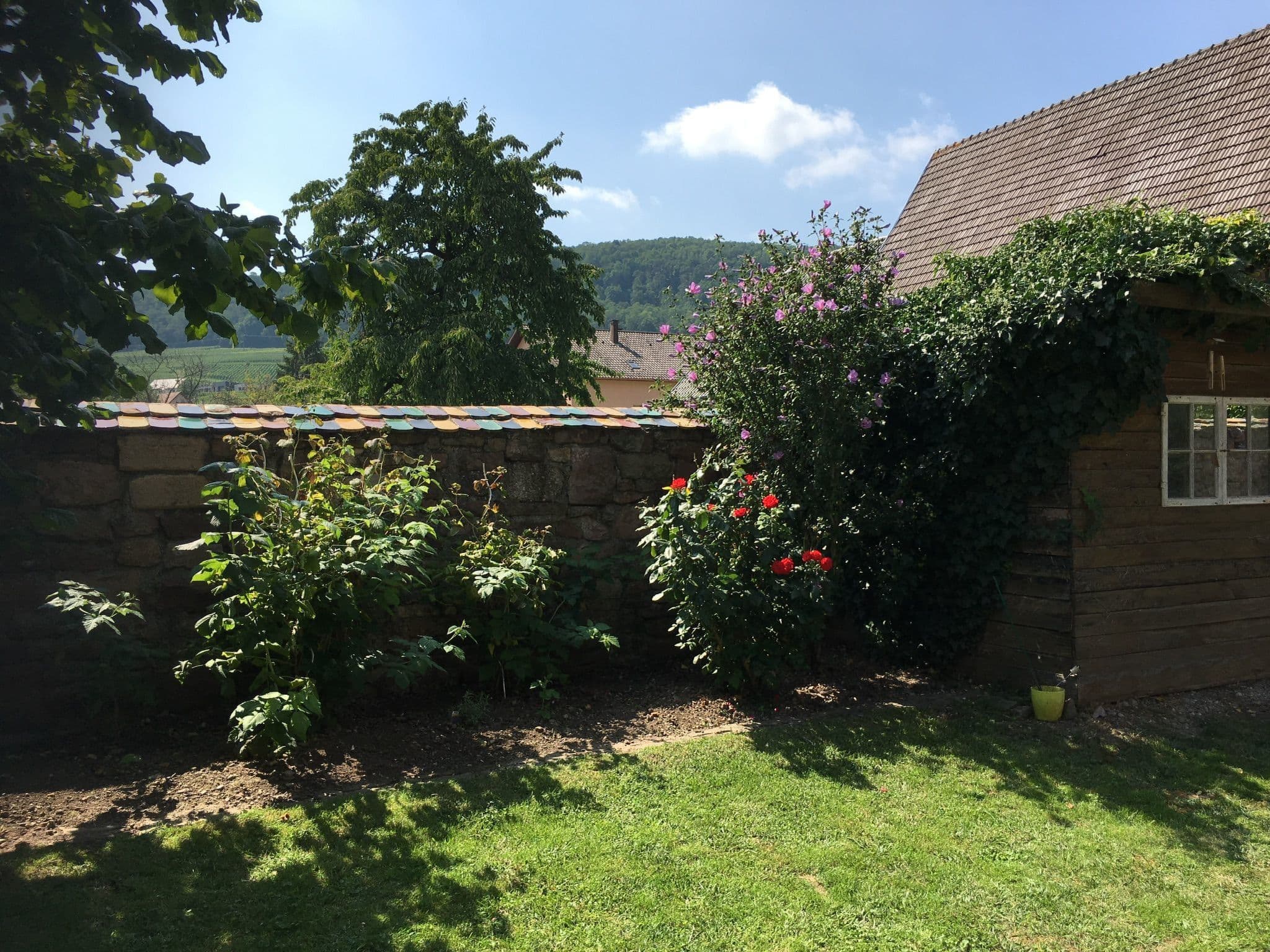 Gallery Image 21
