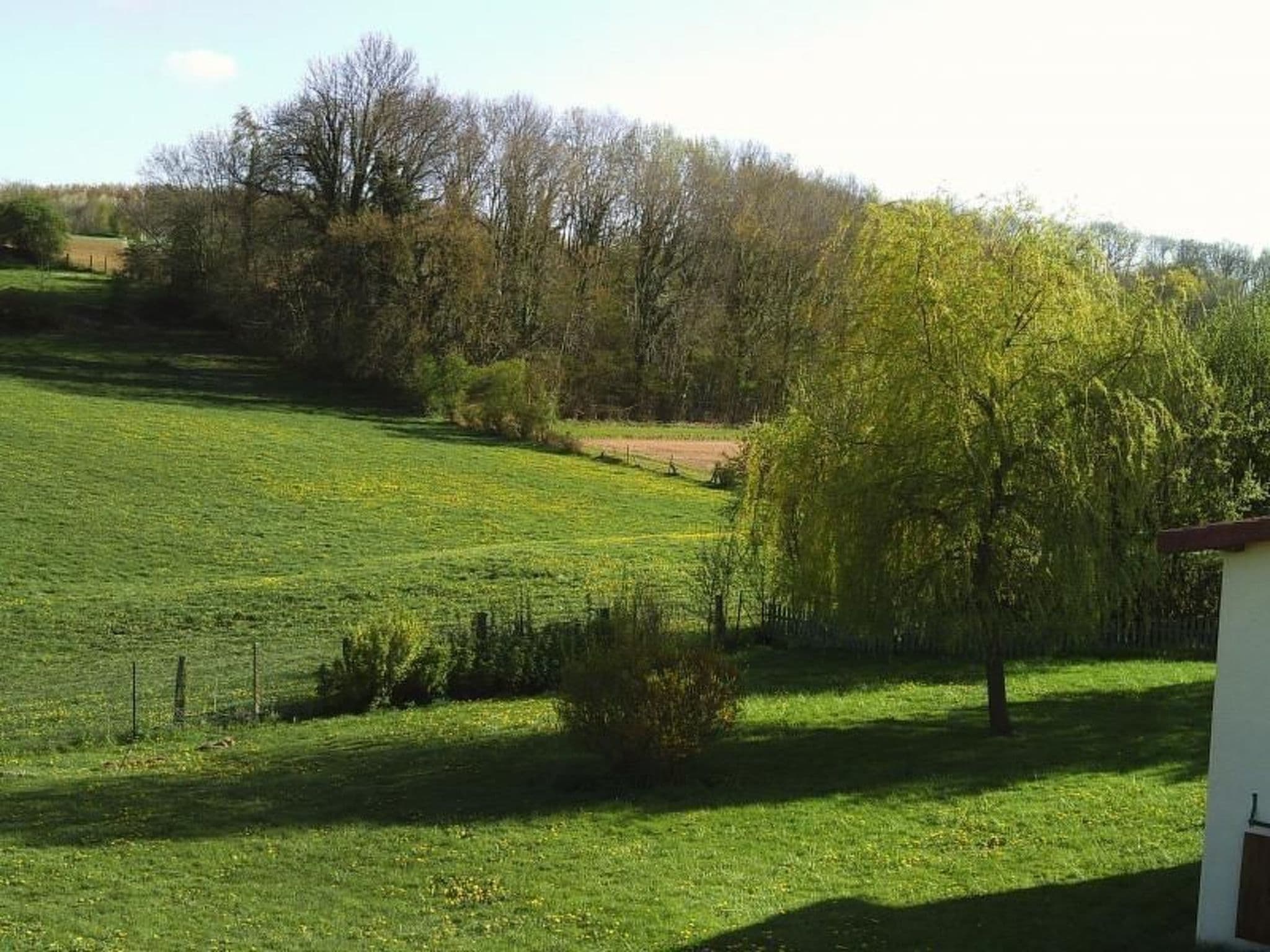 Gallery Image 18