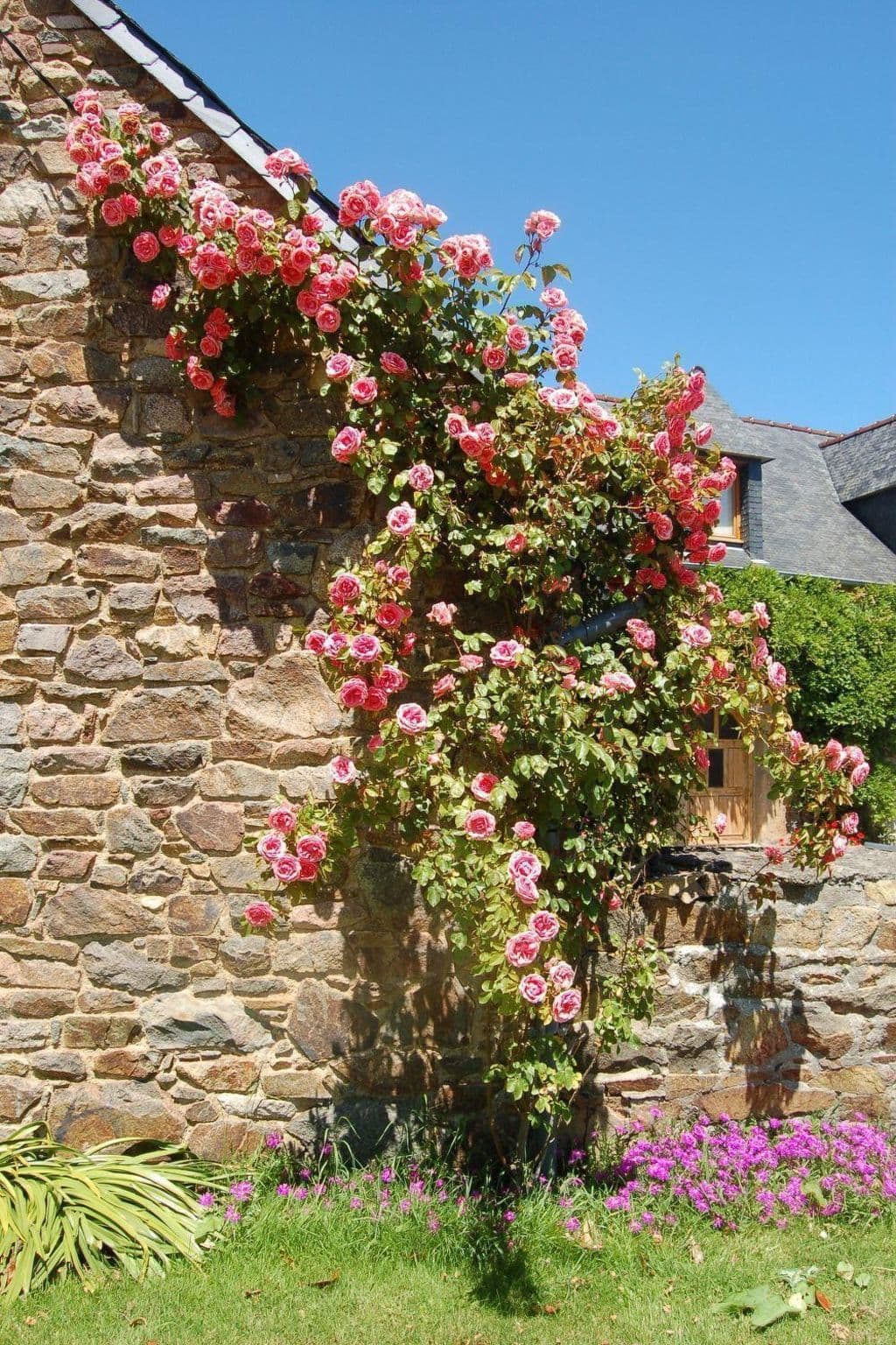 Gallery Image 29