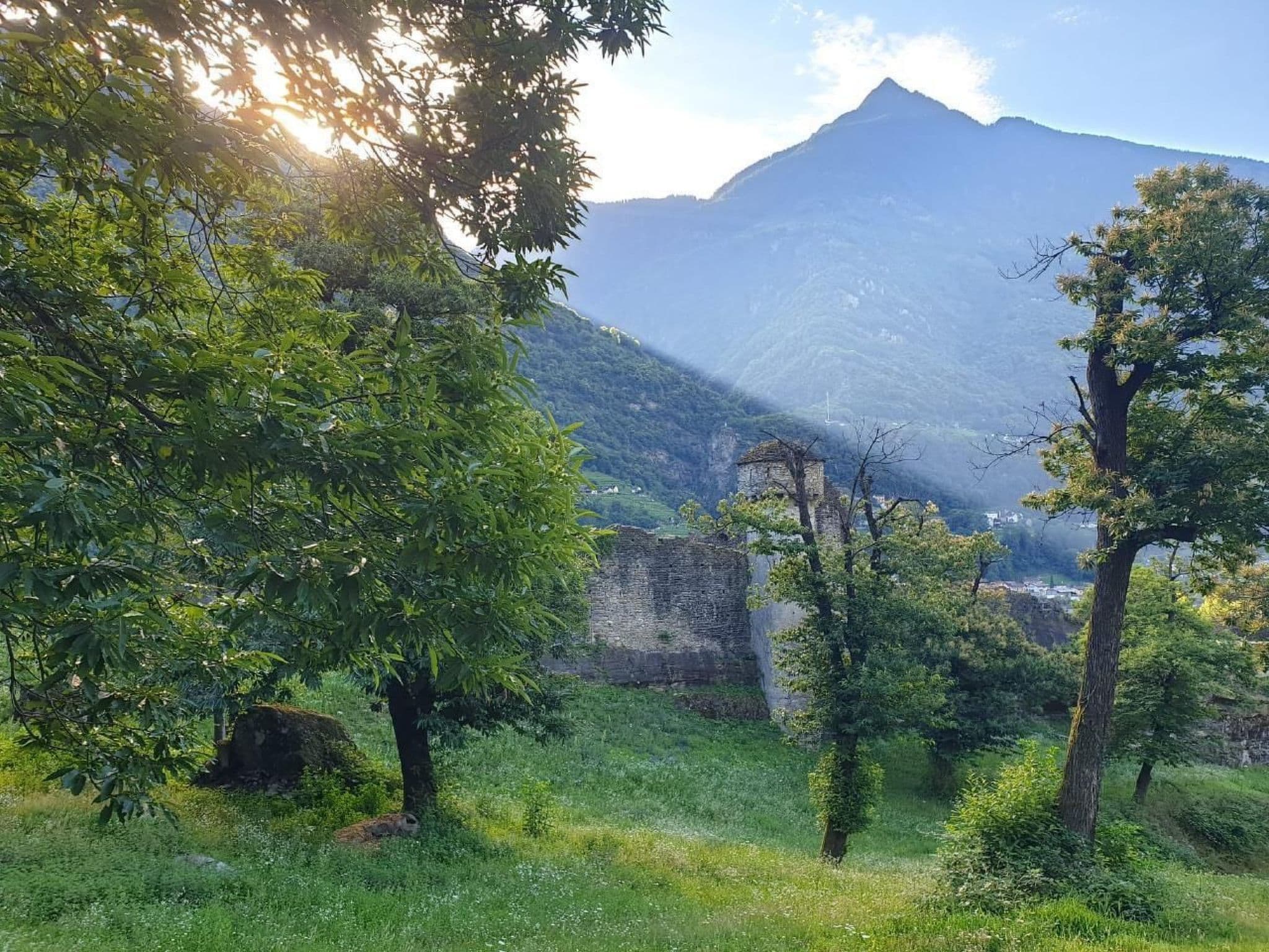 View