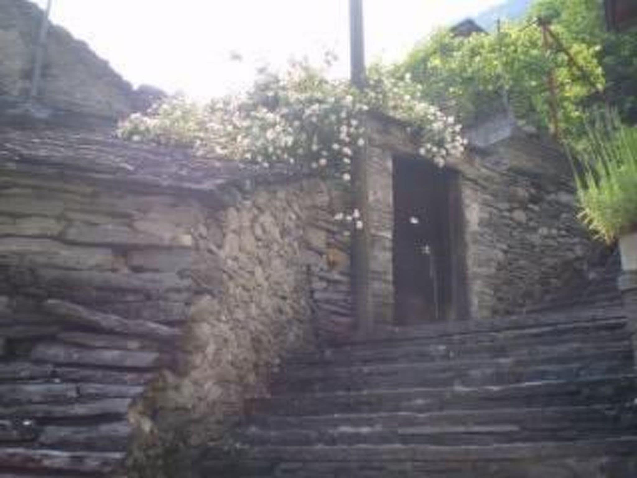 Gallery Image 22