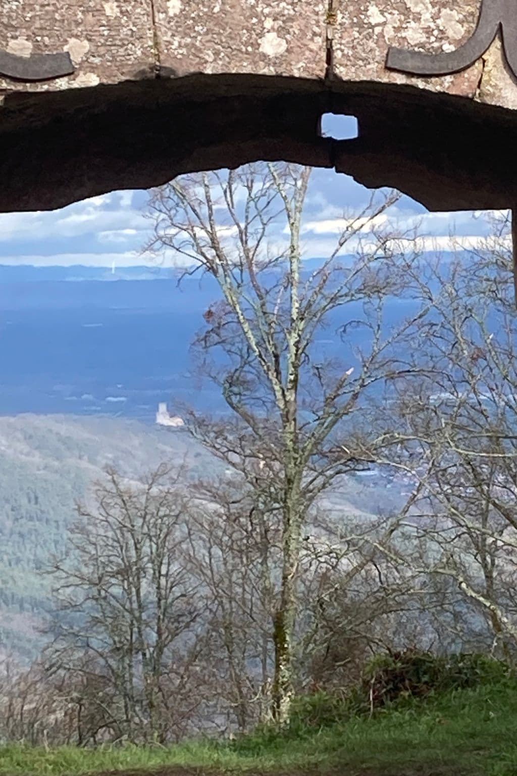 Gallery Image 17