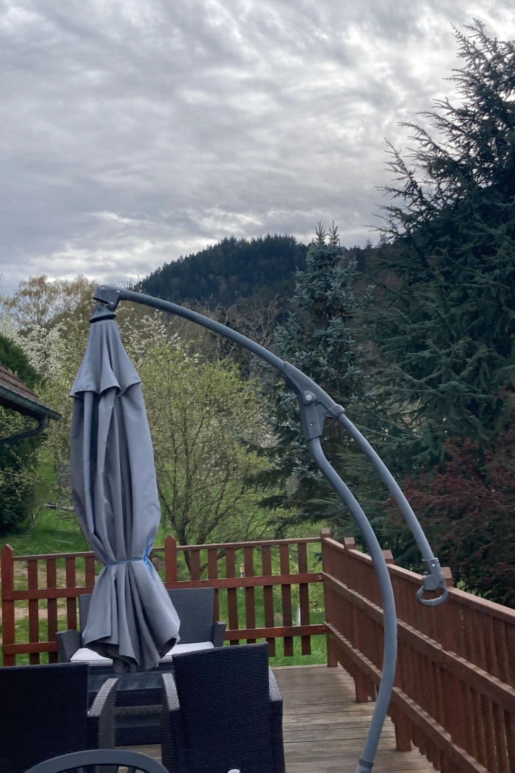 Gallery Image 15