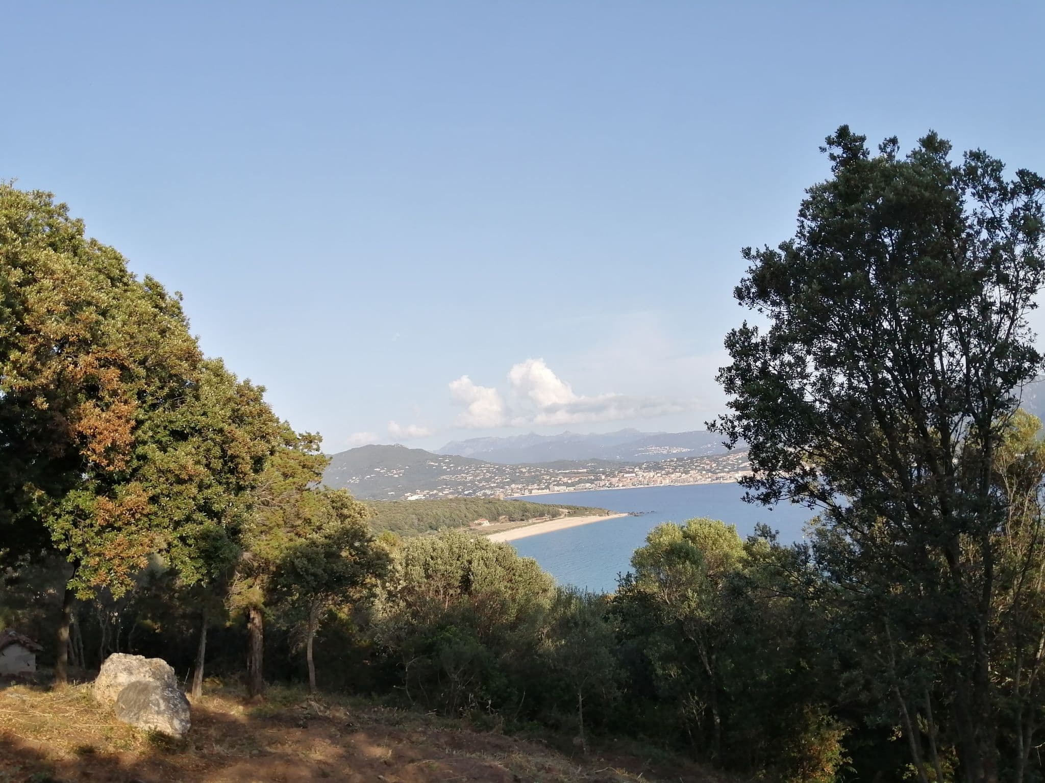 View
