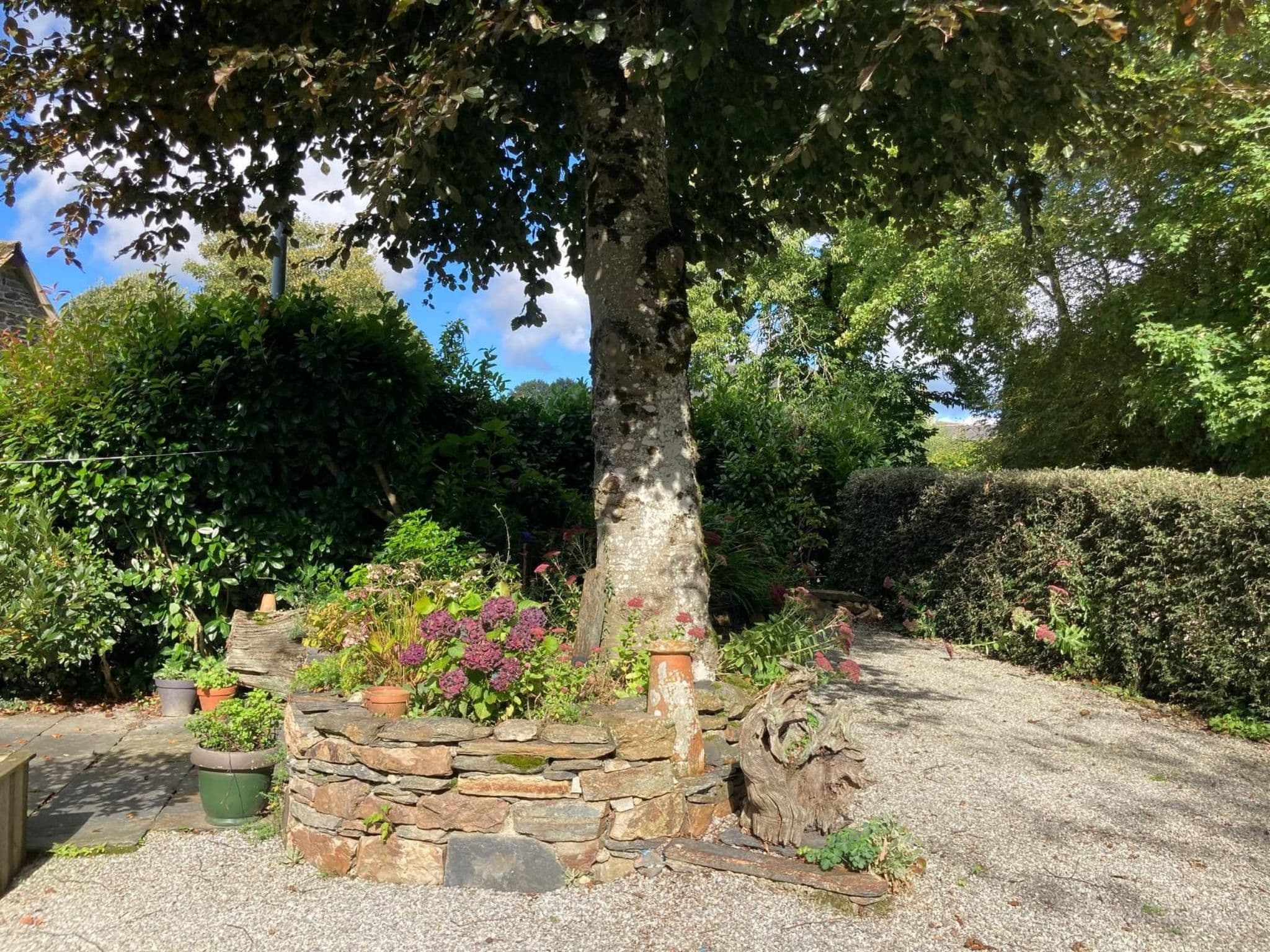 Gallery Image 18