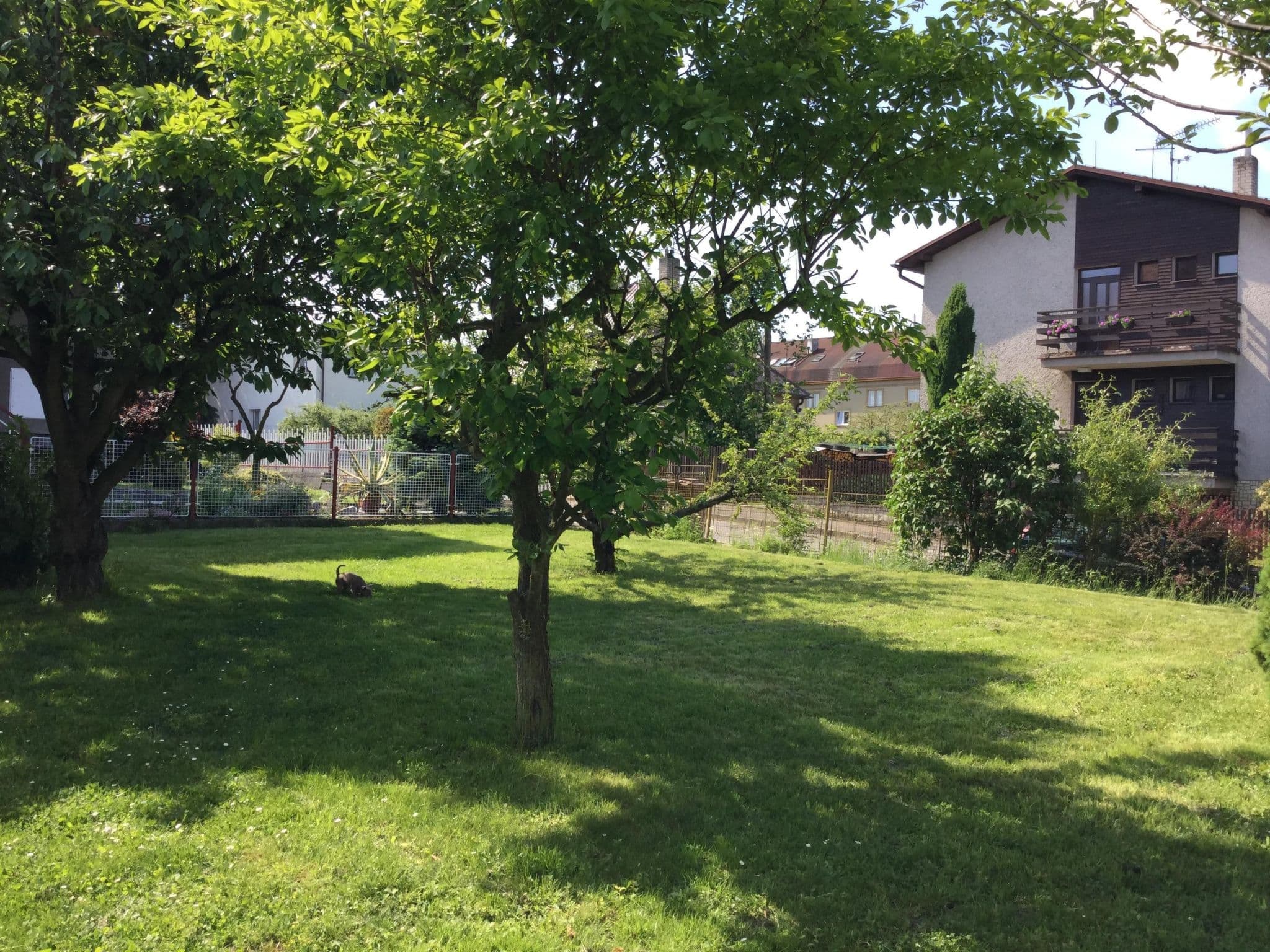 Gallery Image 21