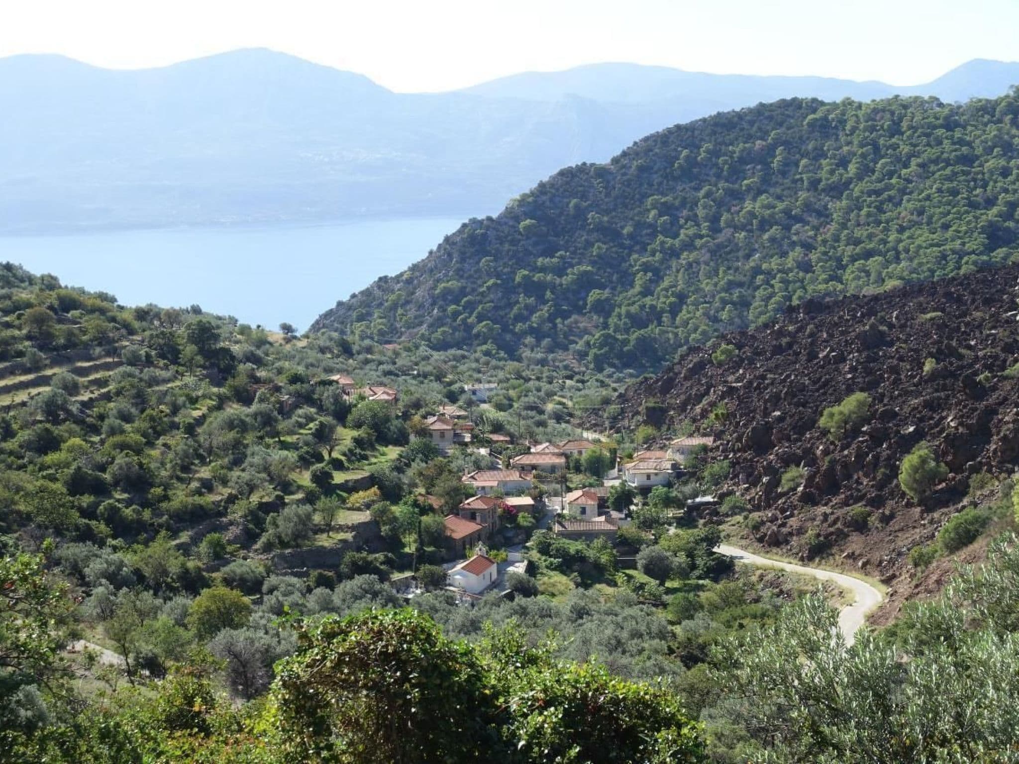 View