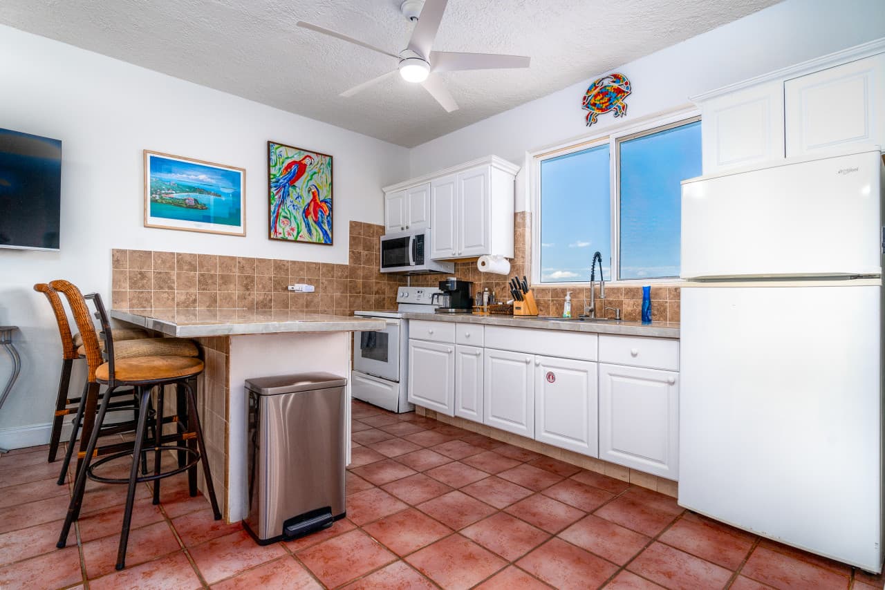 Harmony Hideaway.SeaTurtle_1366-EDIT.jpg