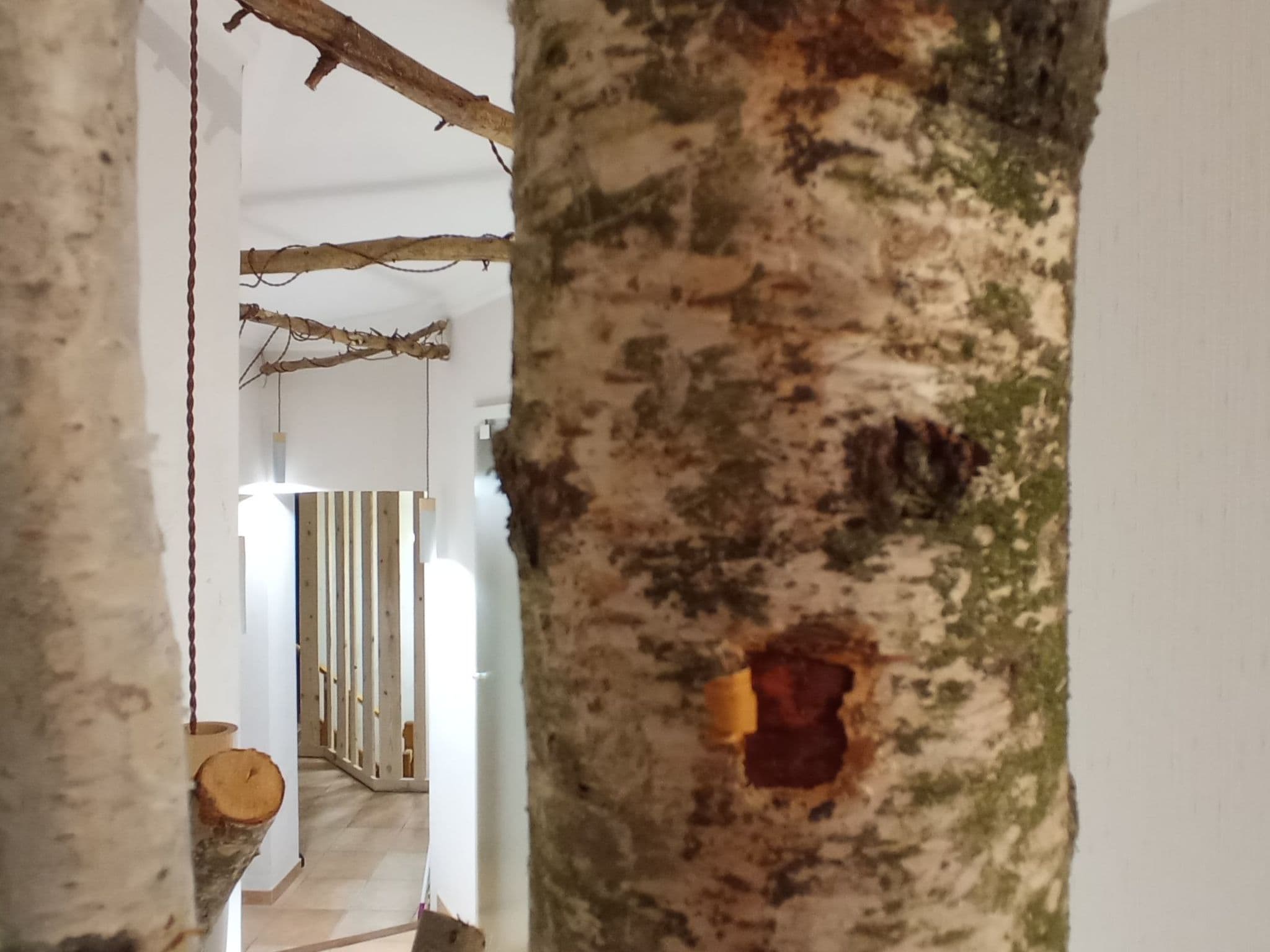 Gallery Image 54