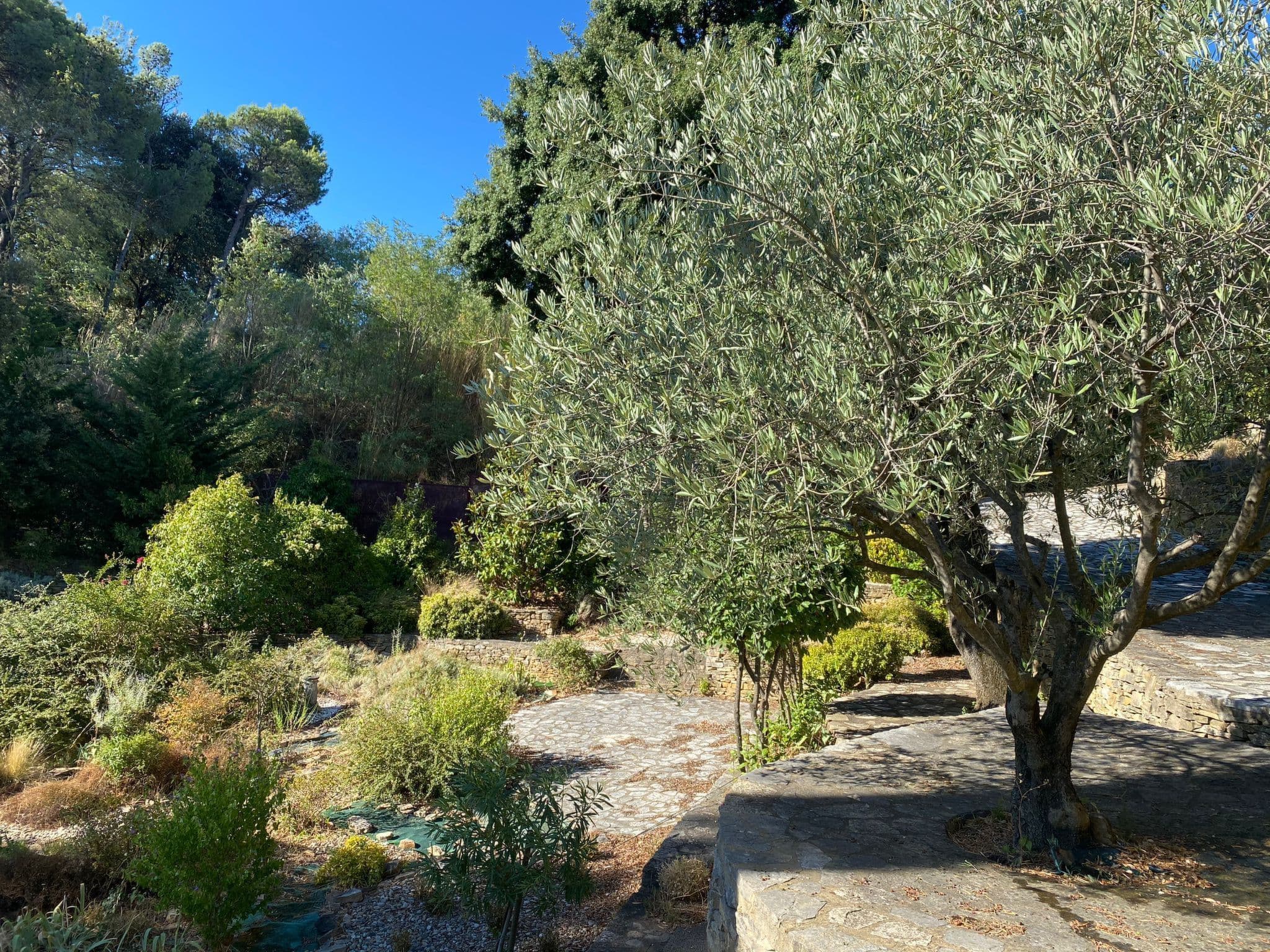 Gallery Image 7