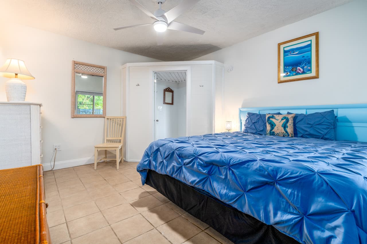 Harmony Hideaway.SeaTurtle_1389-EDIT.jpg