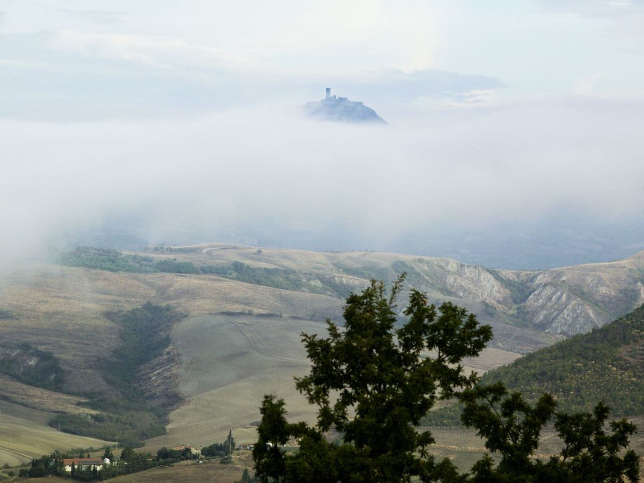 View
