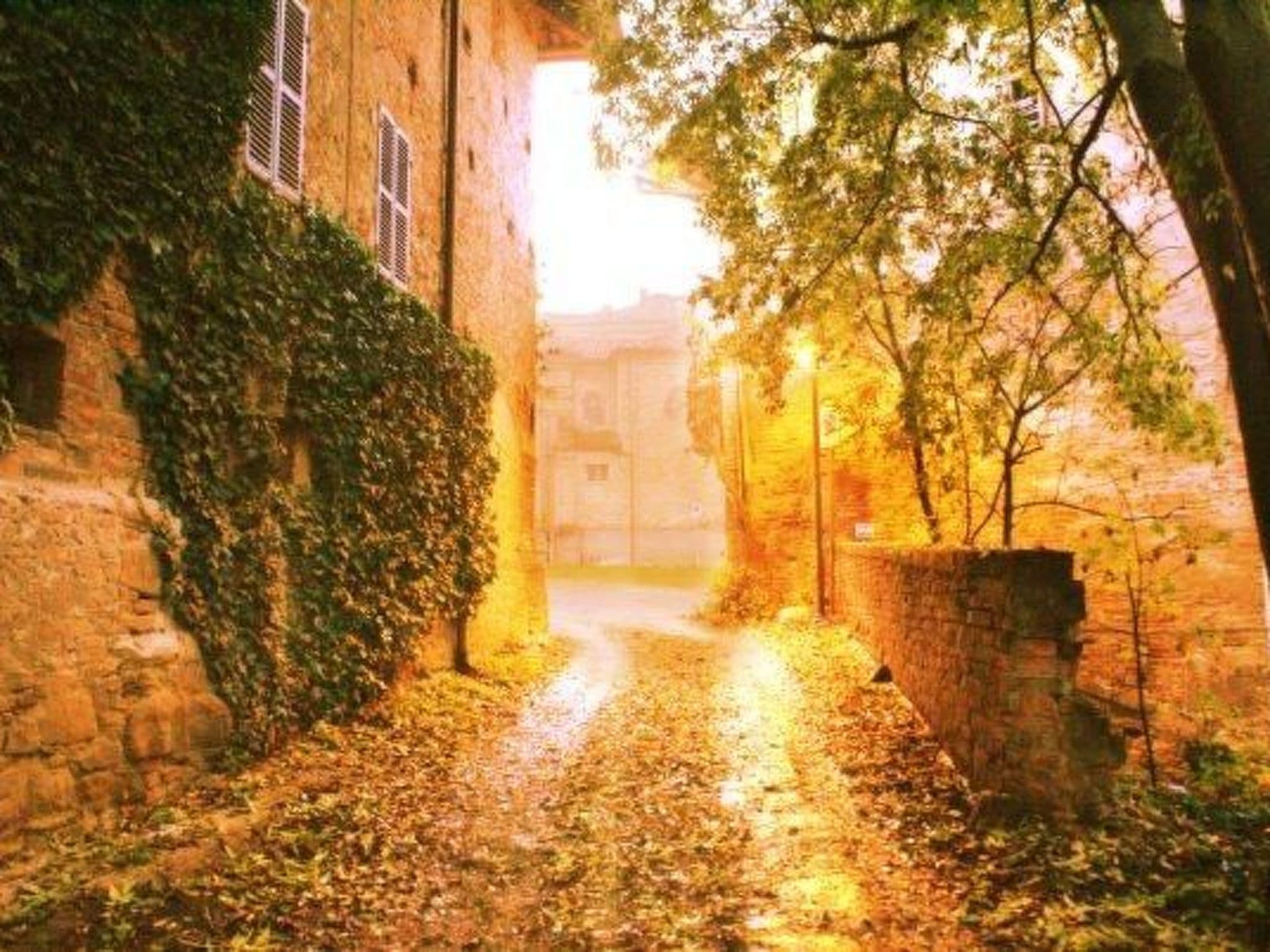 Gallery Image 26