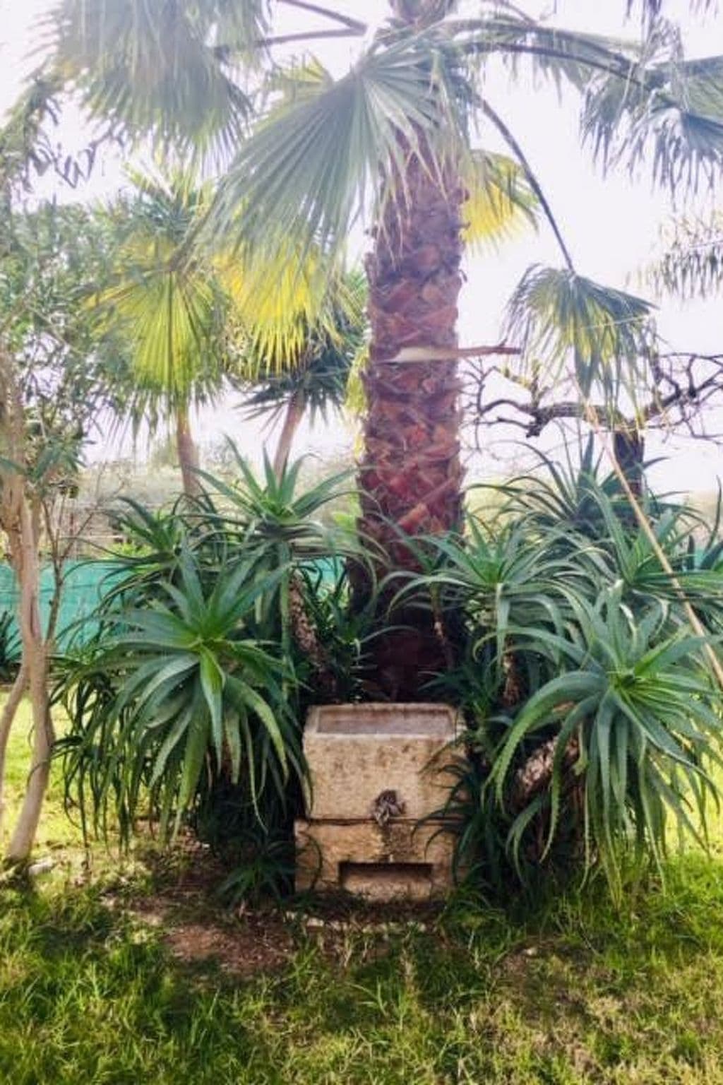 Gallery Image 23
