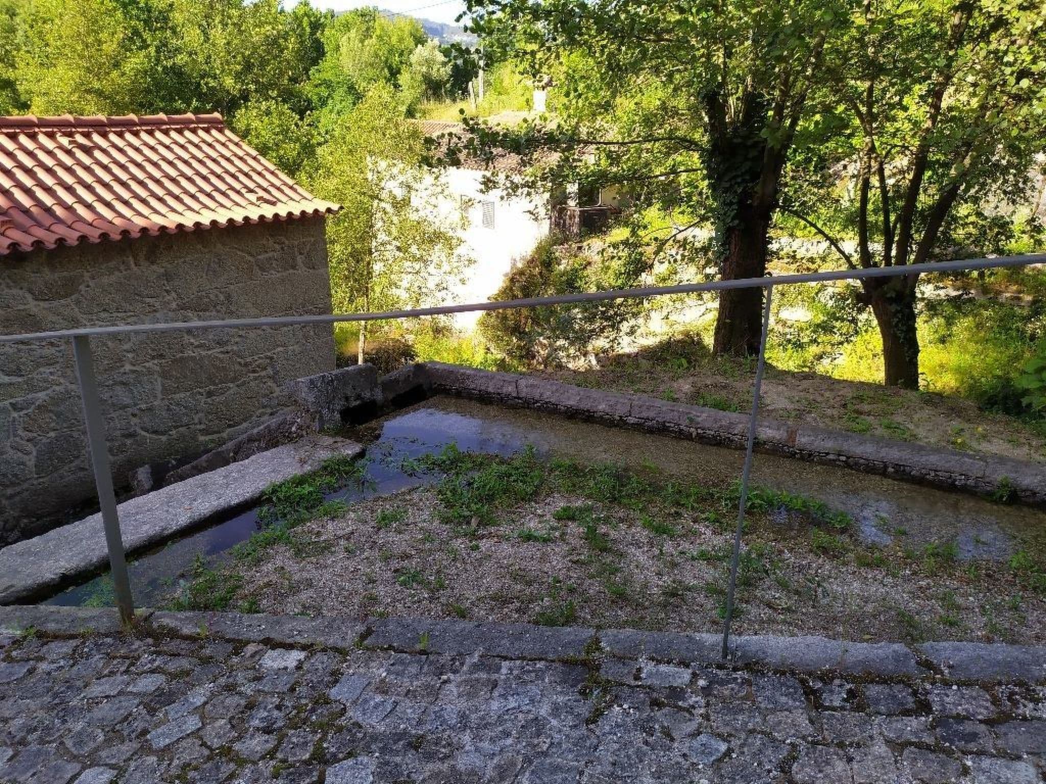 Gallery Image 17