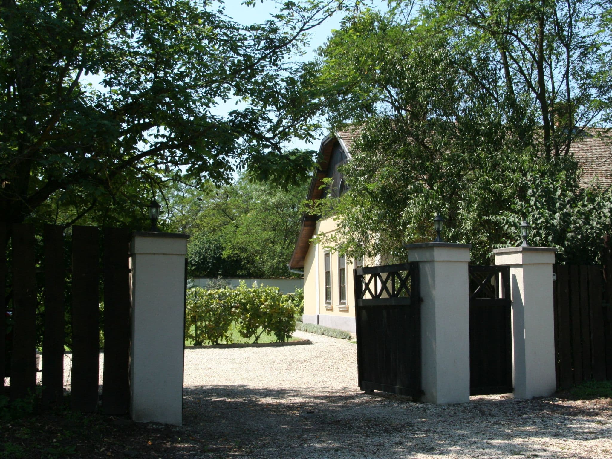 Gallery Image 43