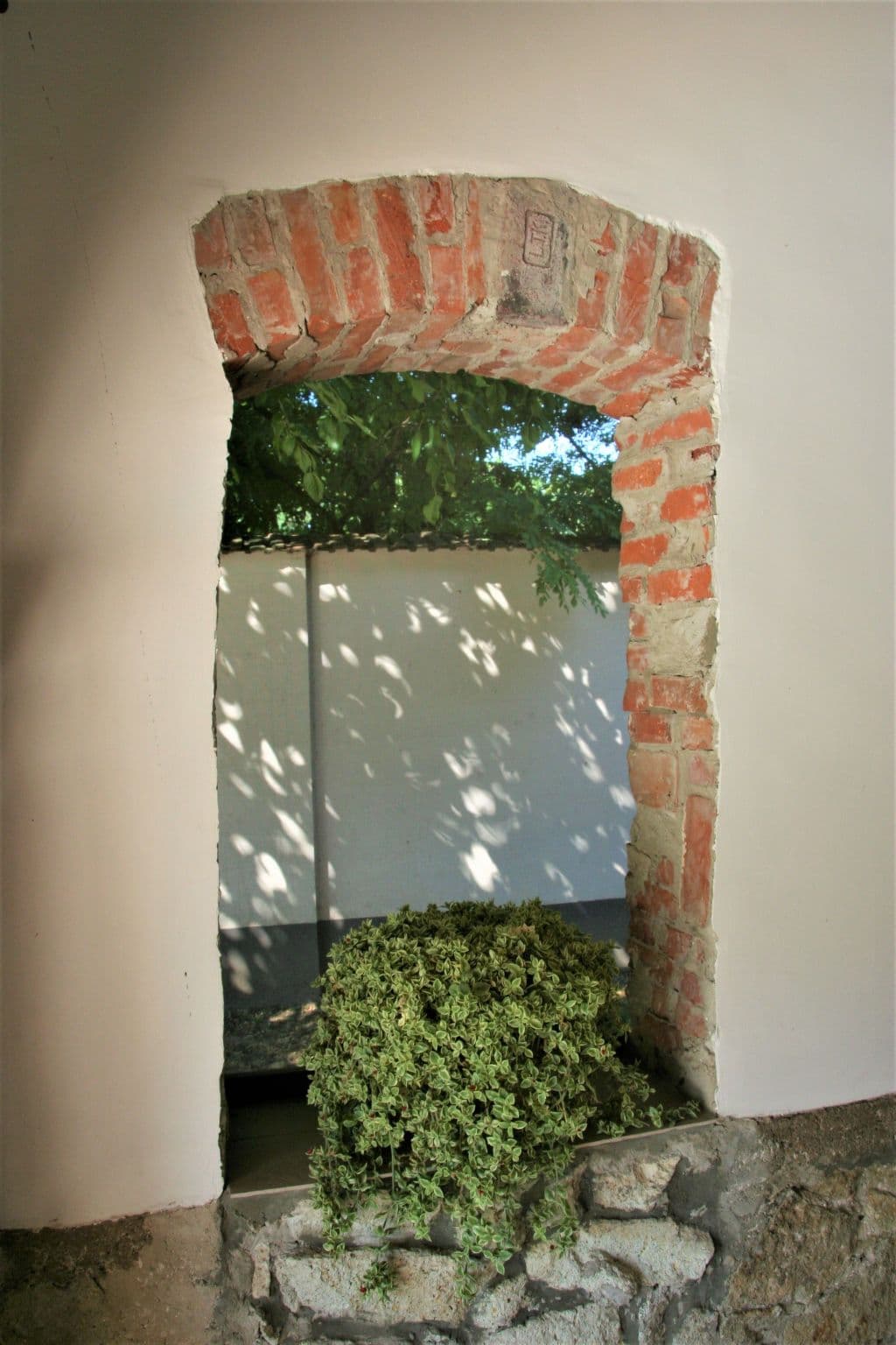 Gallery Image 13