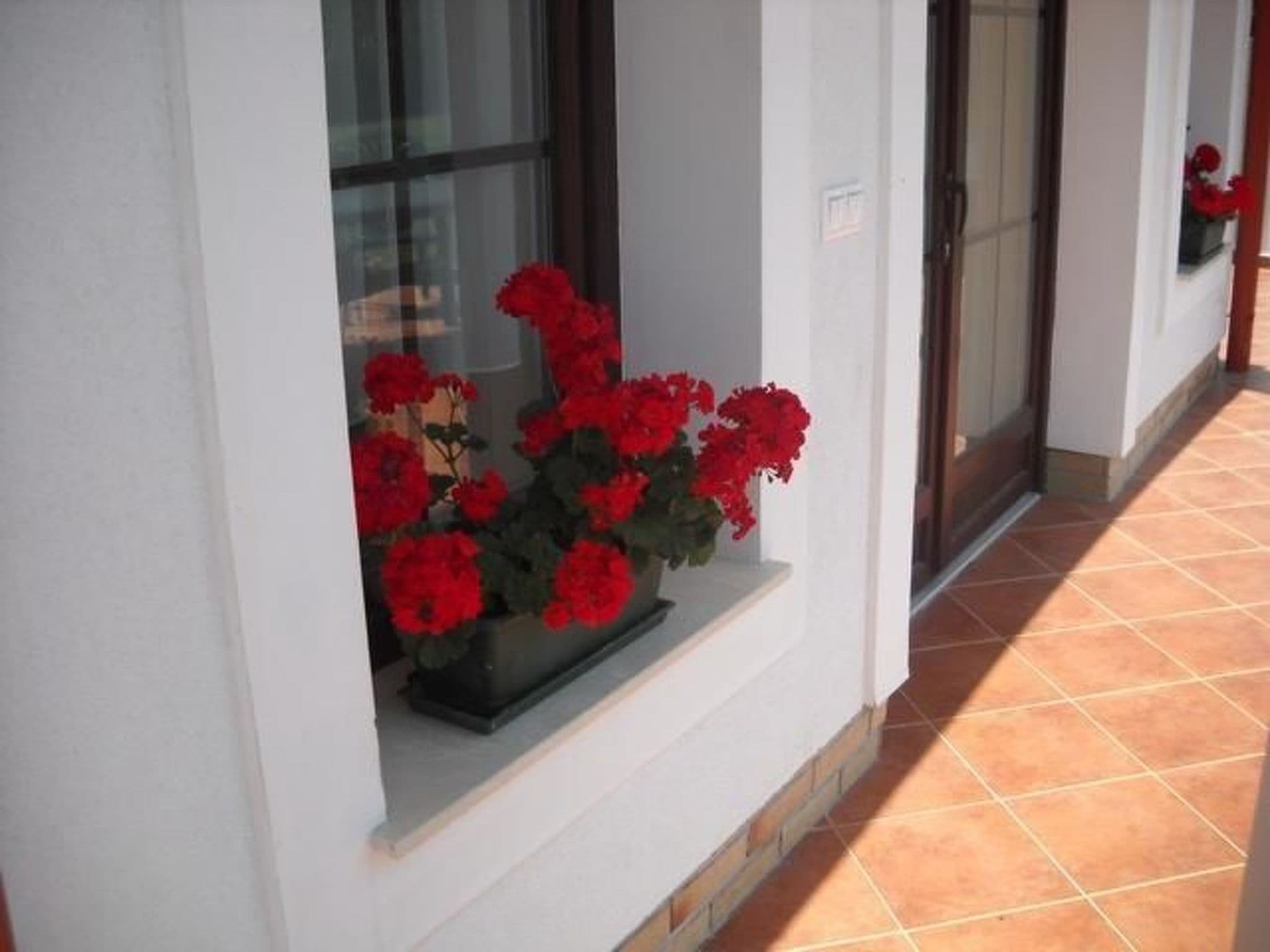Gallery Image 23