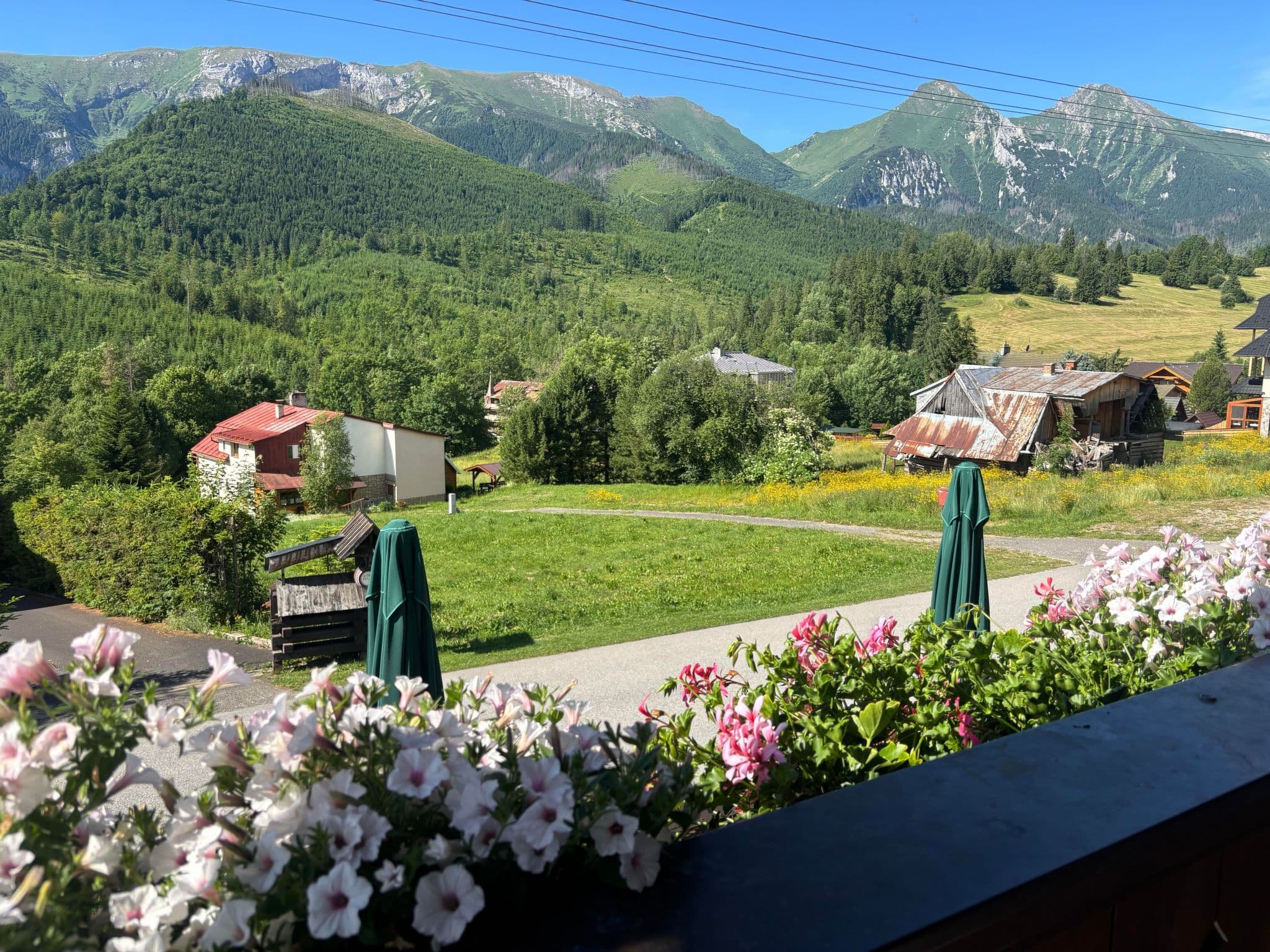Terrace