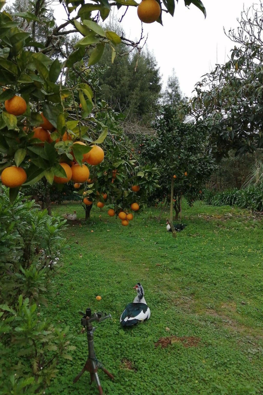 Gallery Image 48