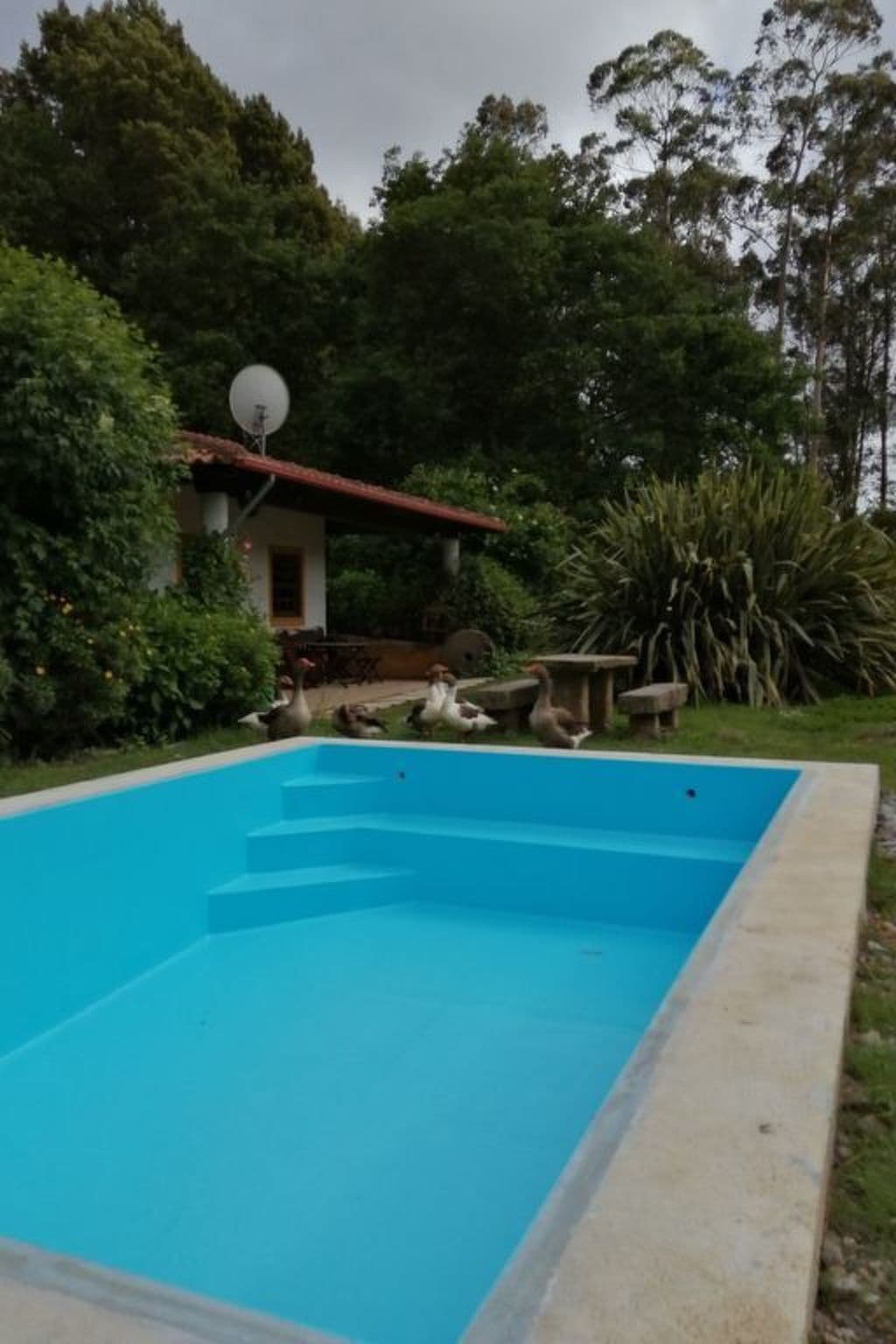 Pool Outdoor