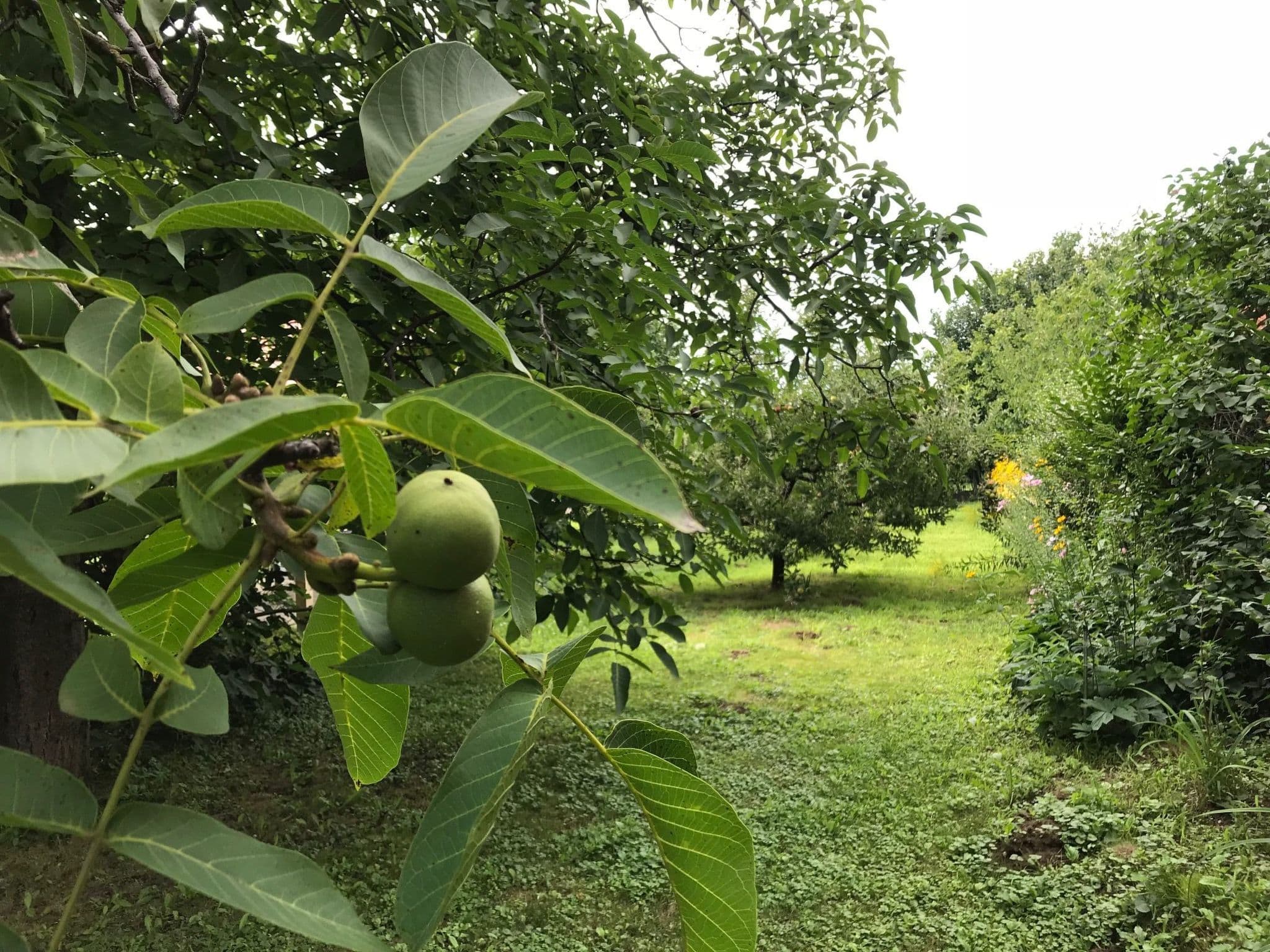 Gallery Image 26