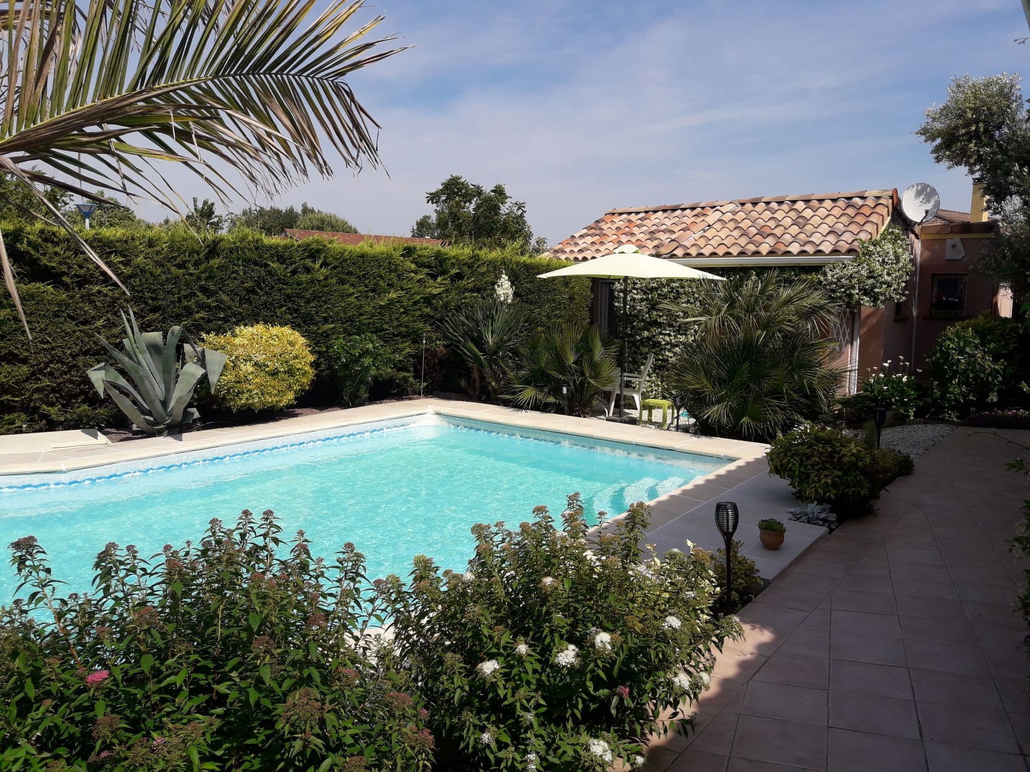 Pool Outdoor
