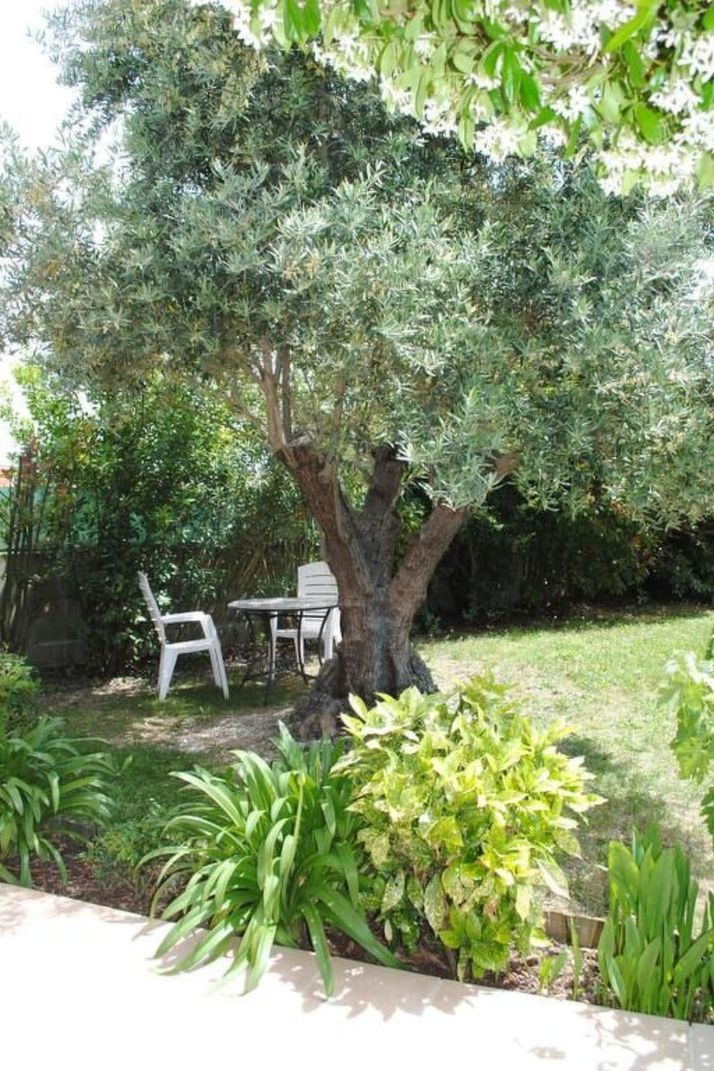 Gallery Image 14