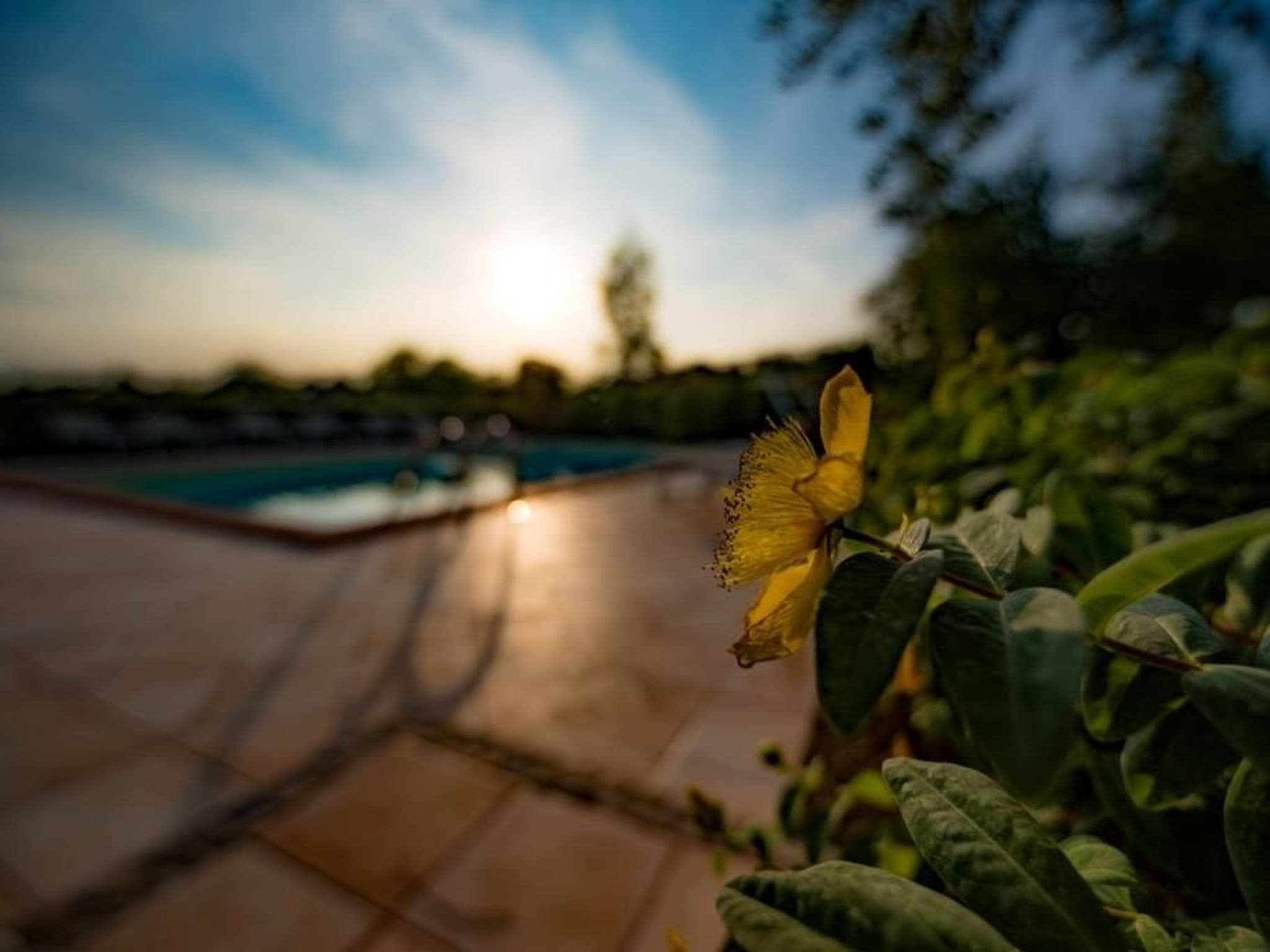Pool Outdoor