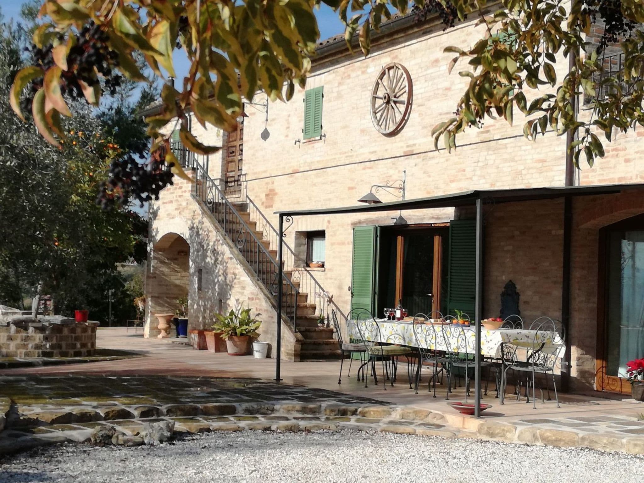 Terrace