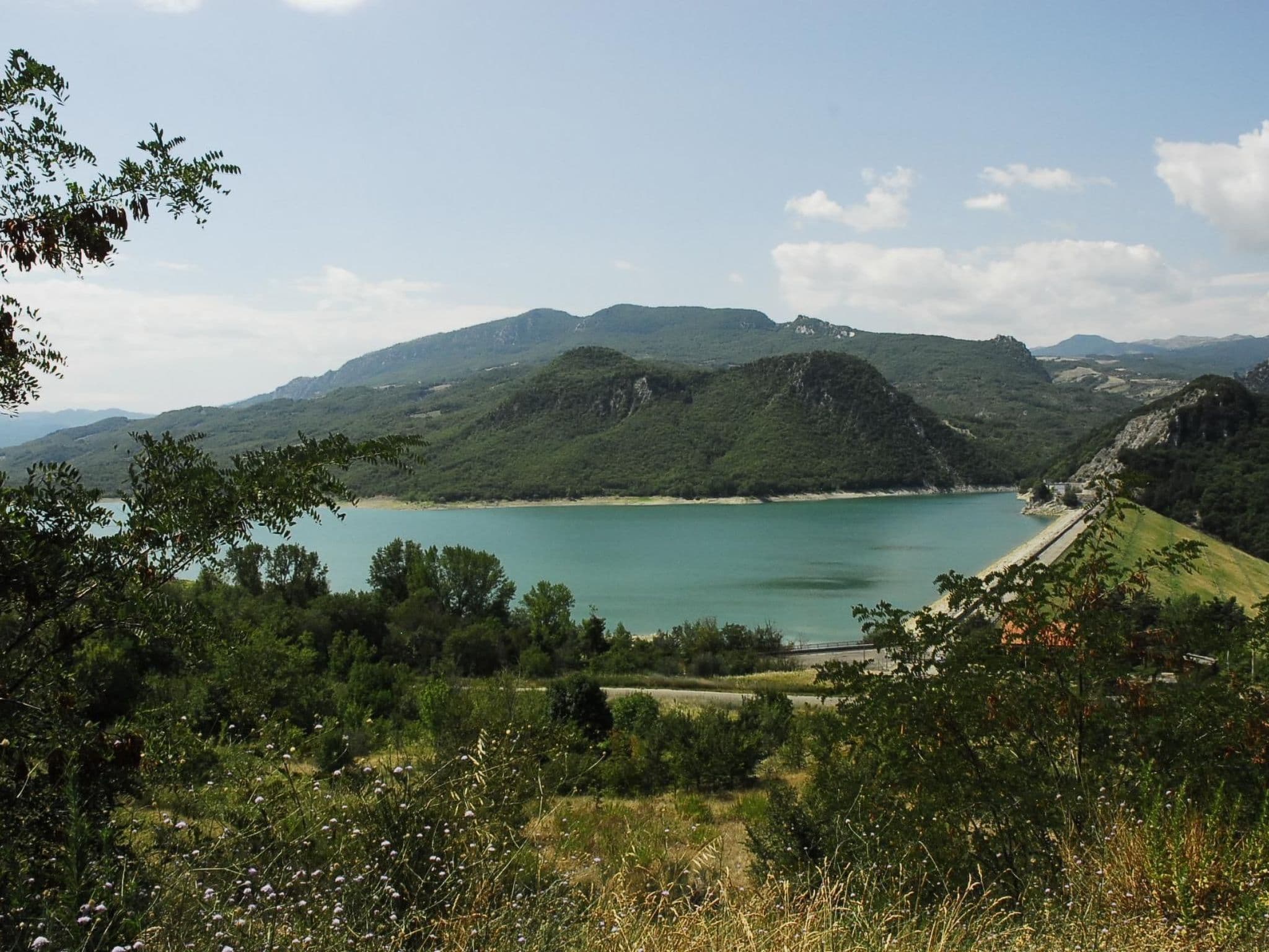 View
