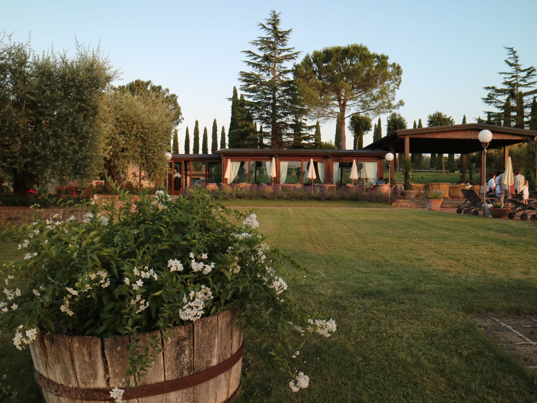 Terrace