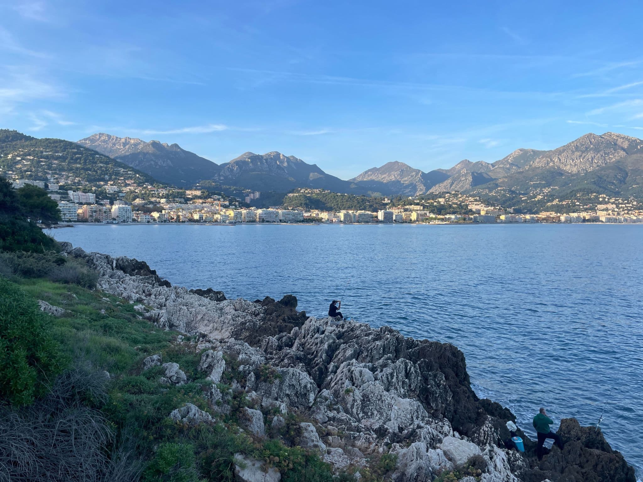 View