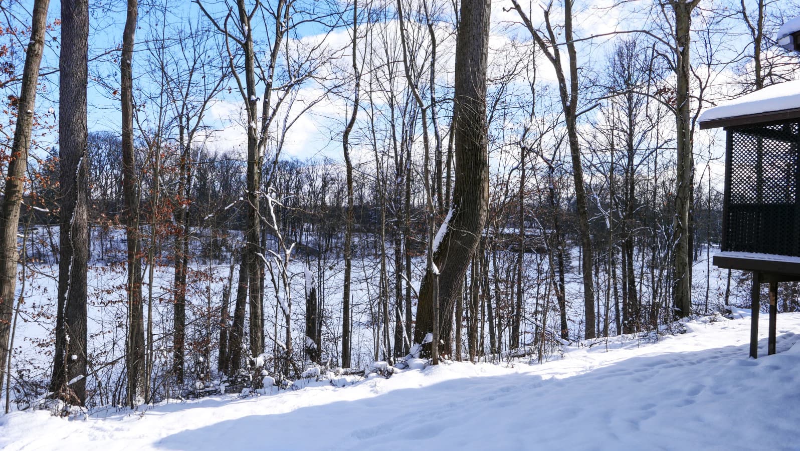 39-RCP-8123 Seasons Rd Streetsboro-L1151594.jpg