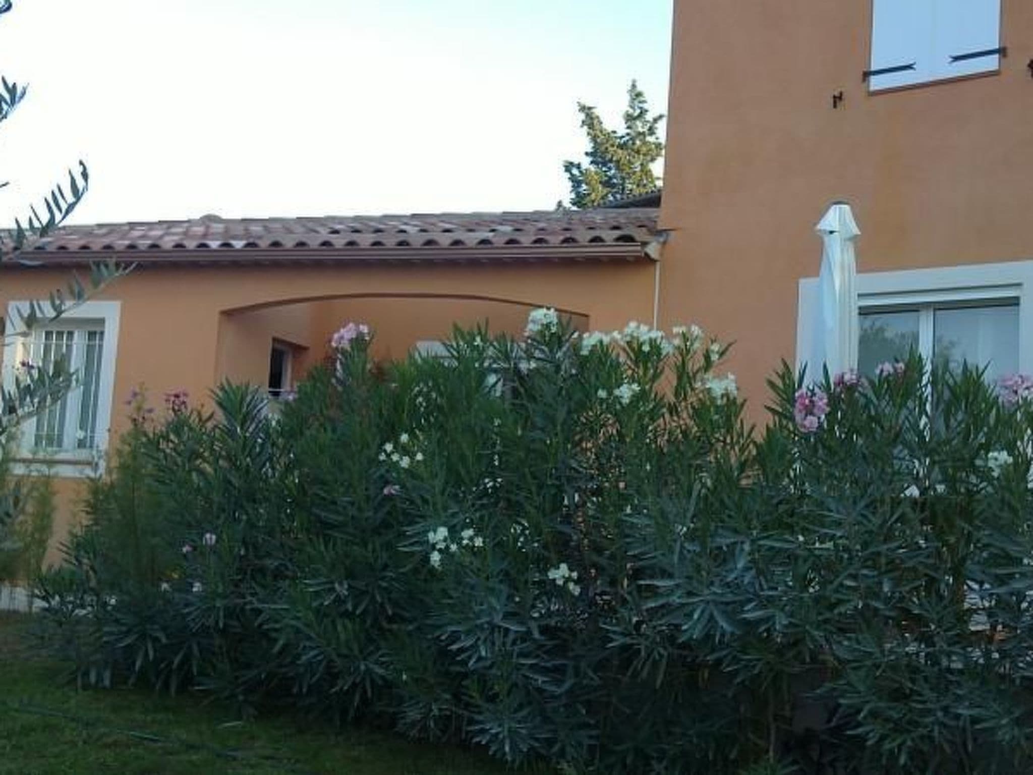 Gallery Image 20