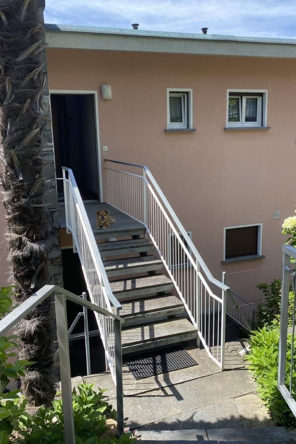 Gallery Image 18
