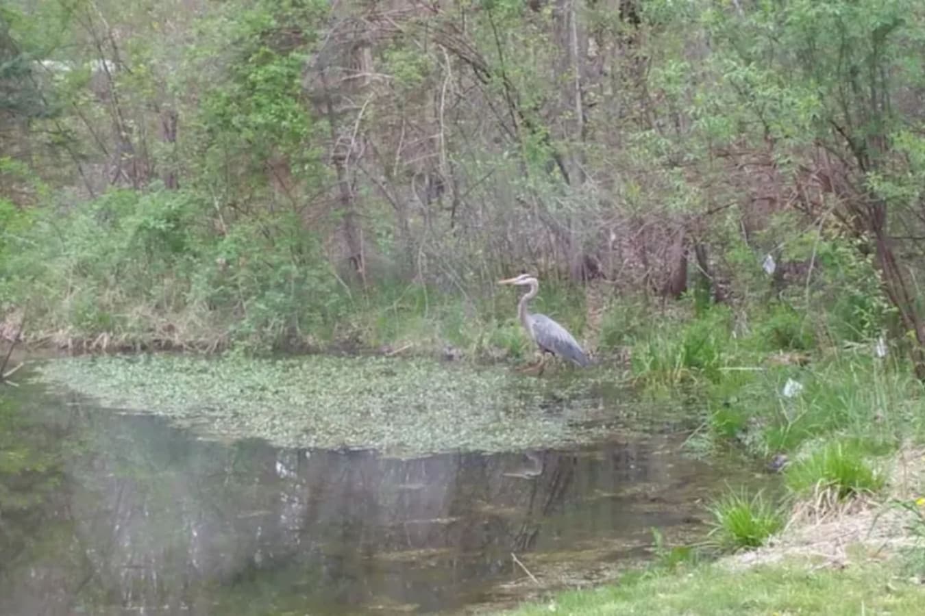 Heron Hill Retreat!