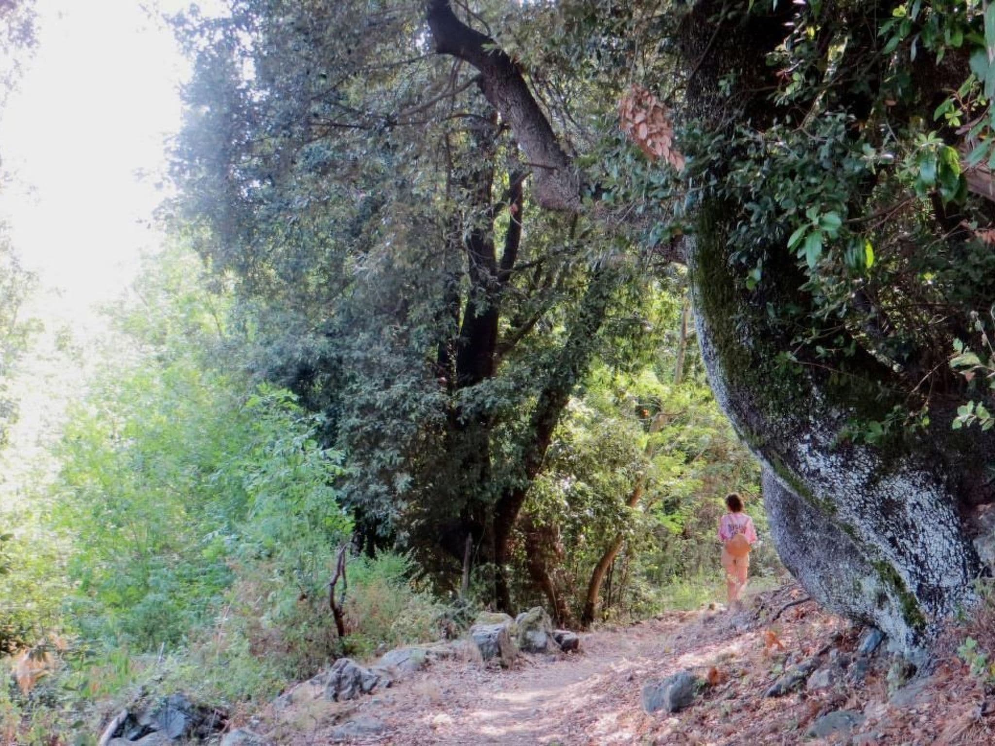 Gallery Image 45