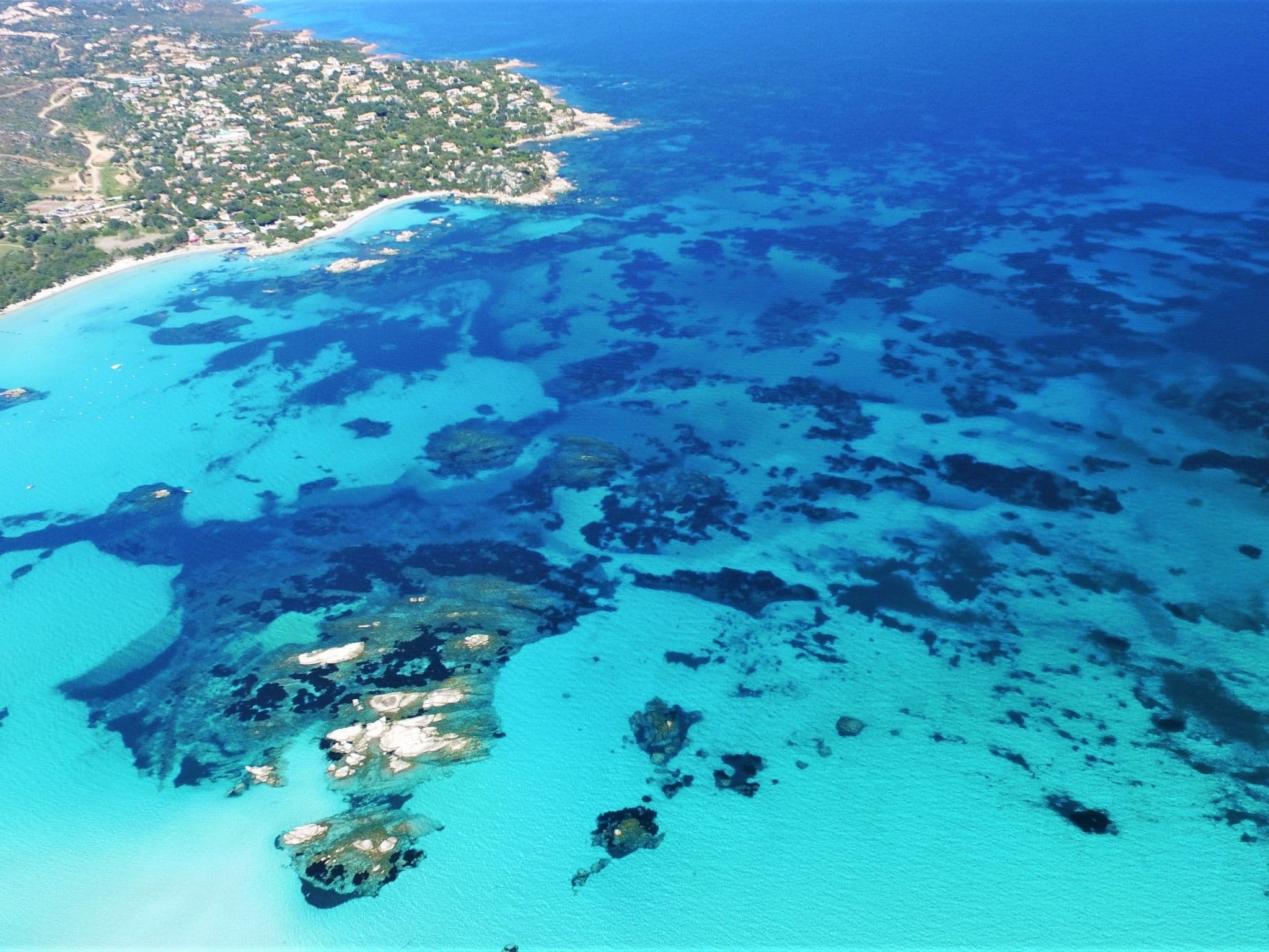 Gallery Image 44