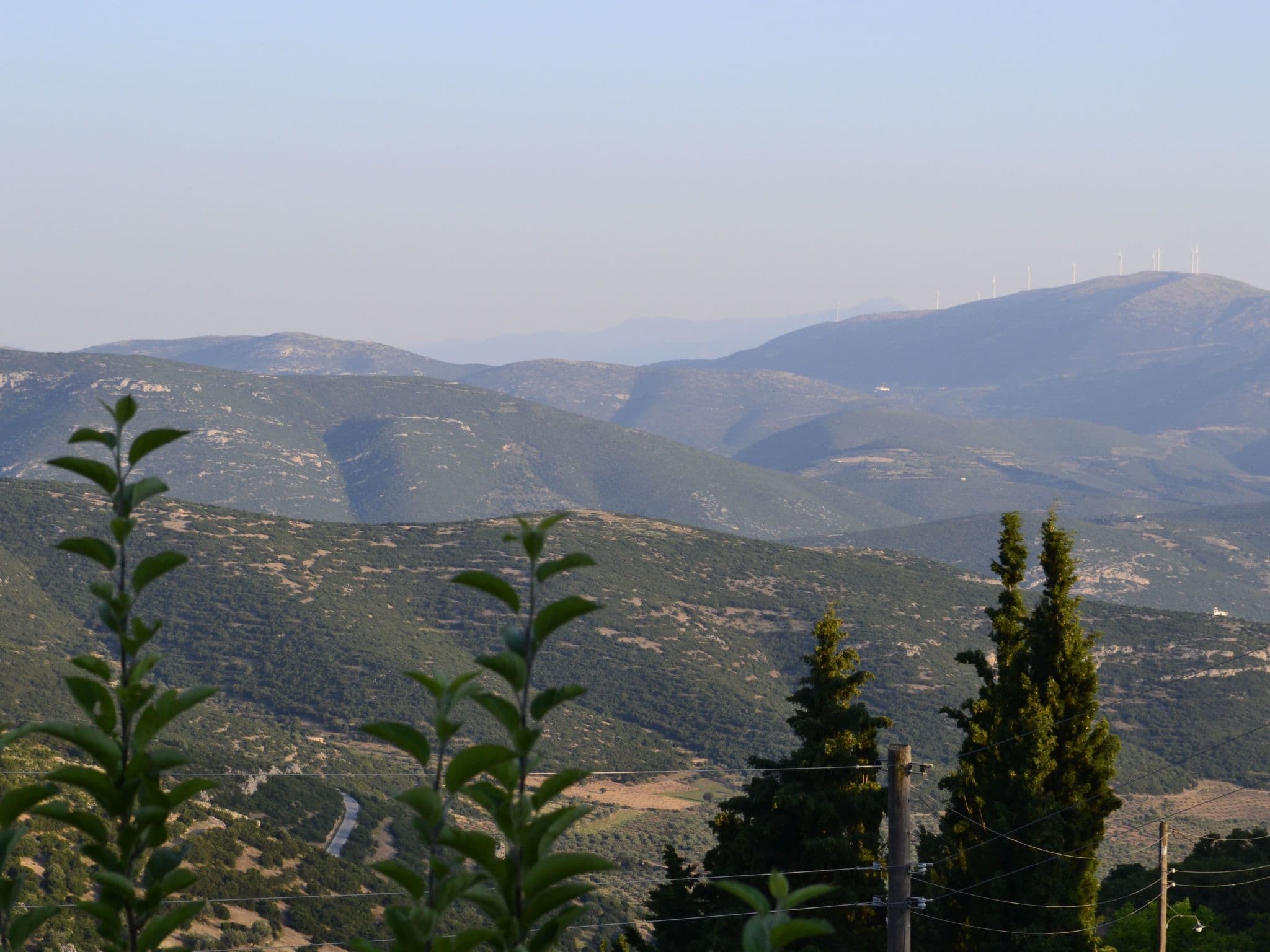 View