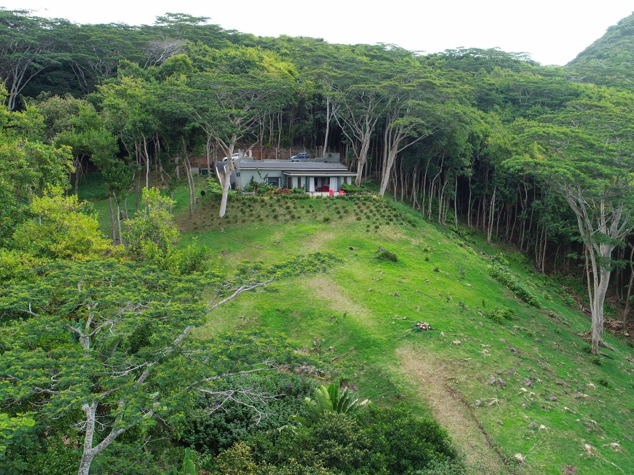 Aerial photography