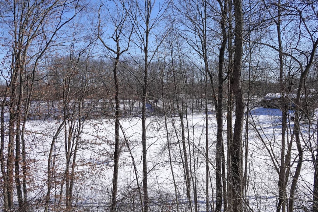 35 - RCP© - 8121 Seasons Road Streetsboro