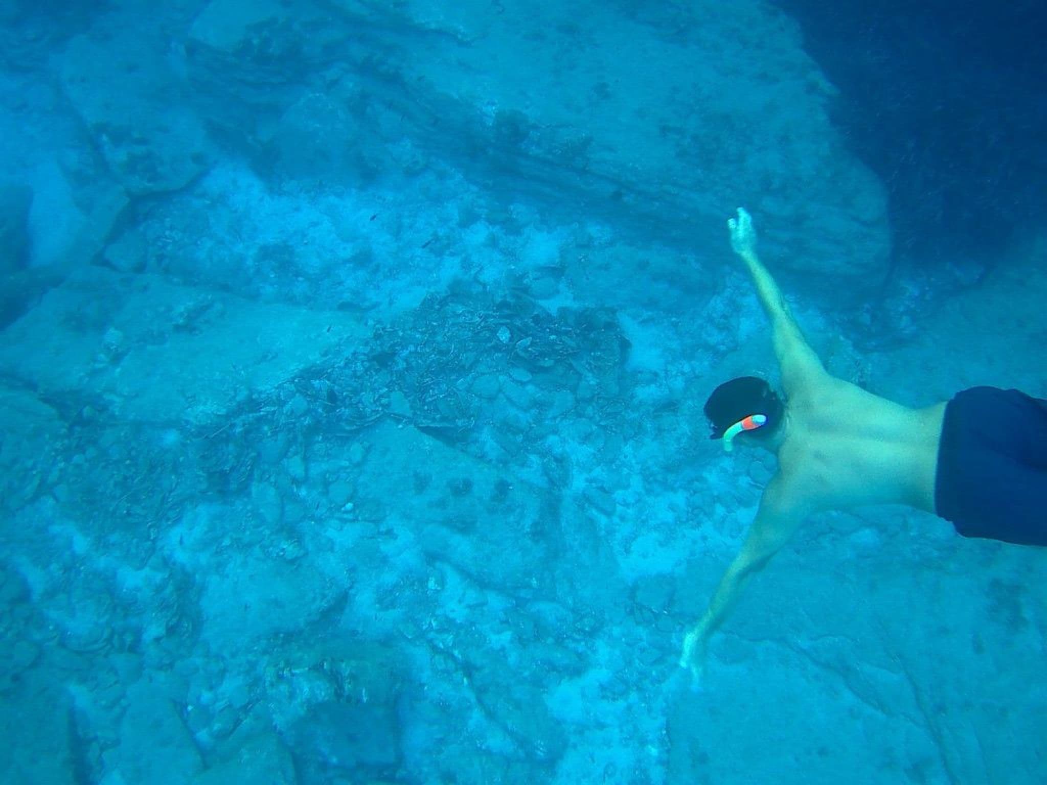 Gallery Image 11