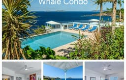 Whale Oceanfront Villa with Pool & Hot Tub! USVI