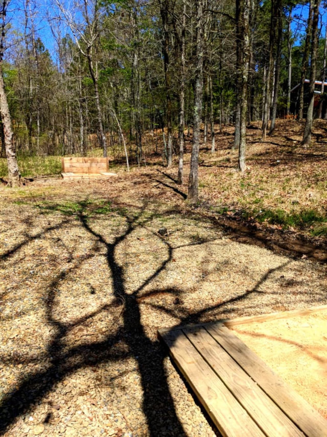 Horse Shoes