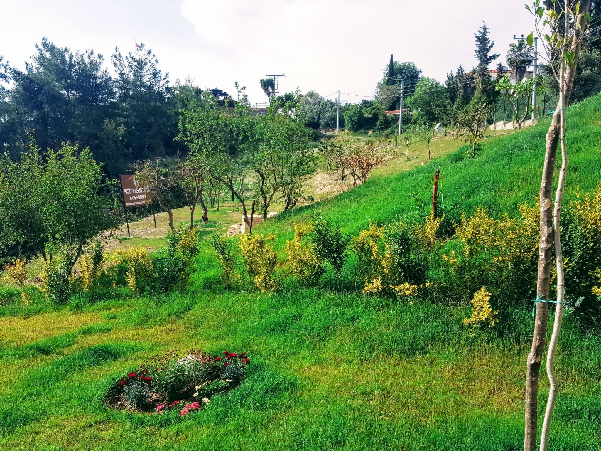 View