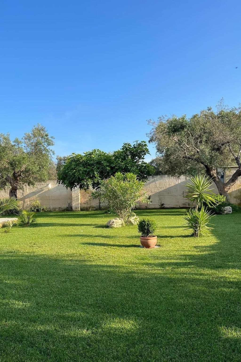 Gallery Image 11