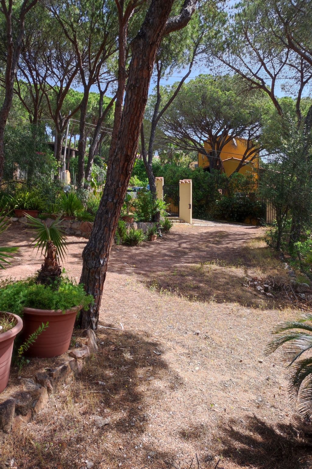 Gallery Image 13