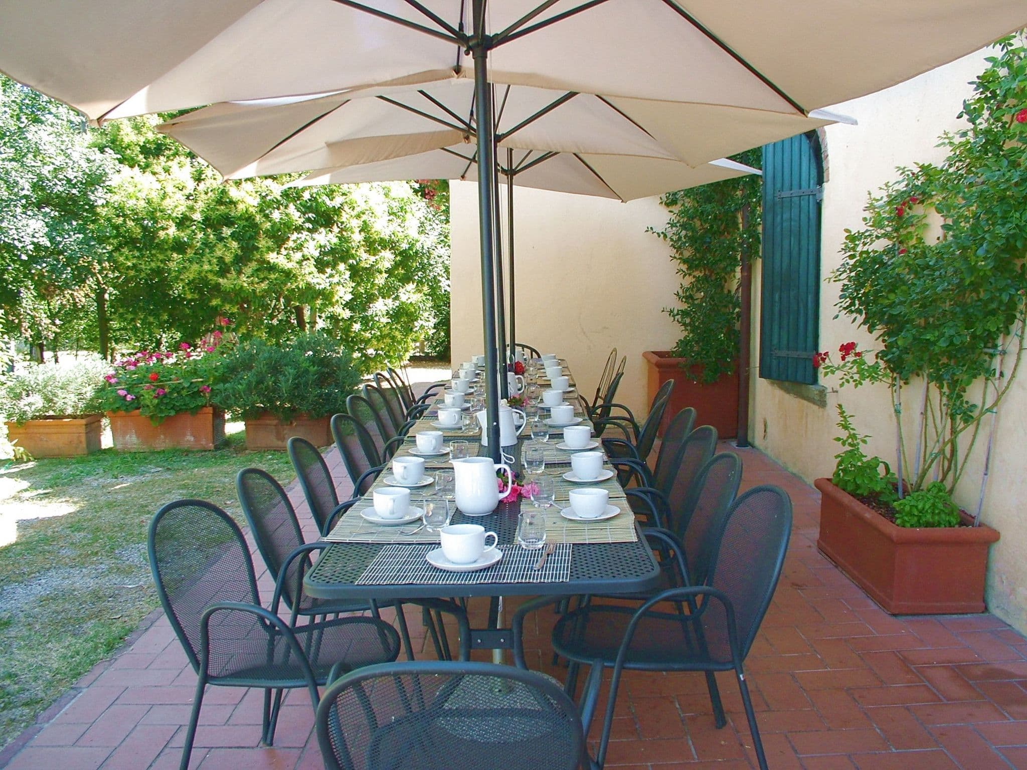 Terrace
