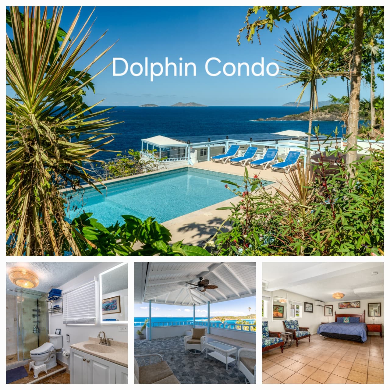 Dolphin Oceanfront Villa with Pool & Hot Tub! USVI